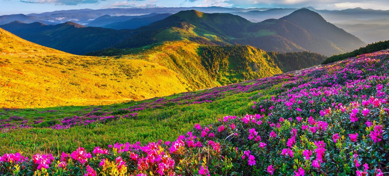 Тури в Карпати