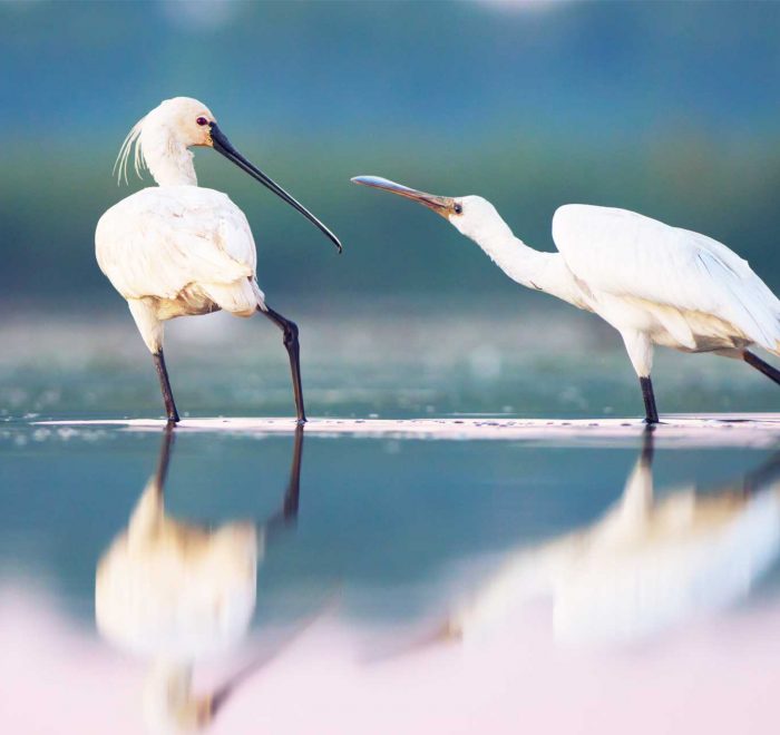 Екскурсія в Вилково