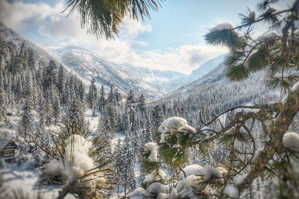 Різдво в Карпатах
