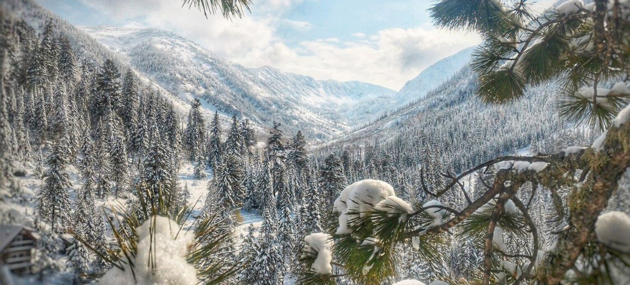 Різдво в Карпатах