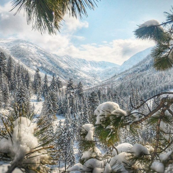 Різдво в Карпатах