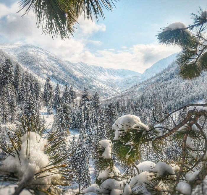 Різдво в Карпатах