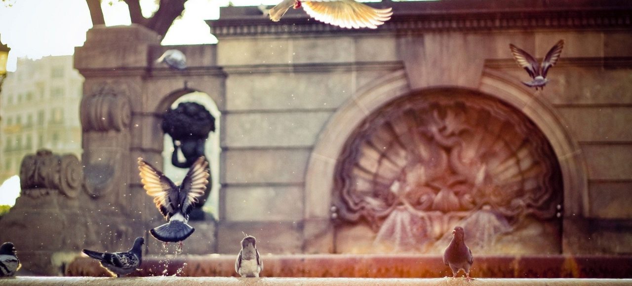 Тури у Львів