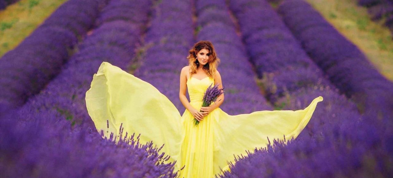 Лавандове поле