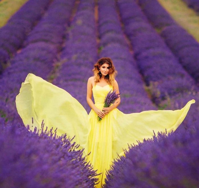 Лавандове поле