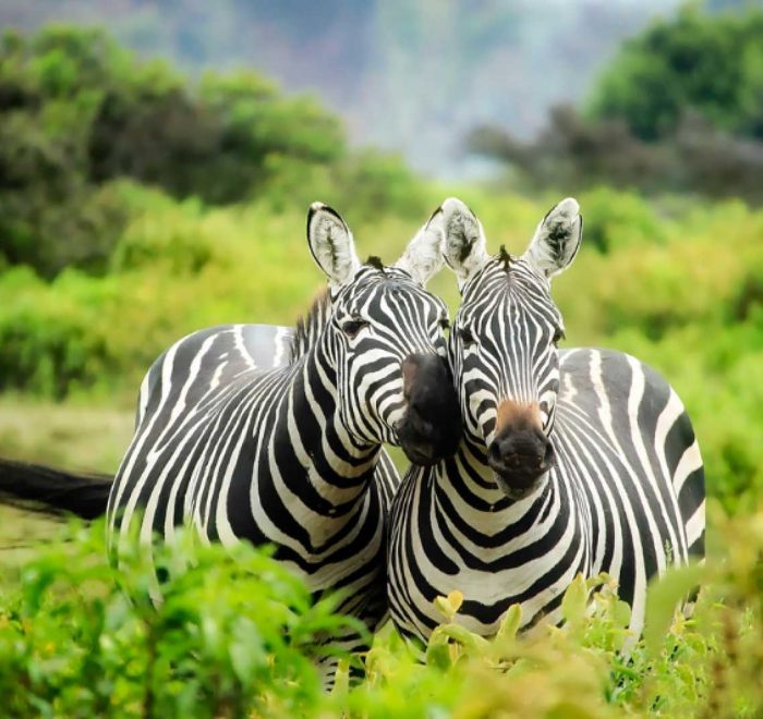 Тур по Херсону