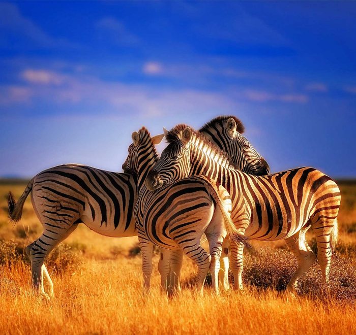 Відпочинок Херсонщина