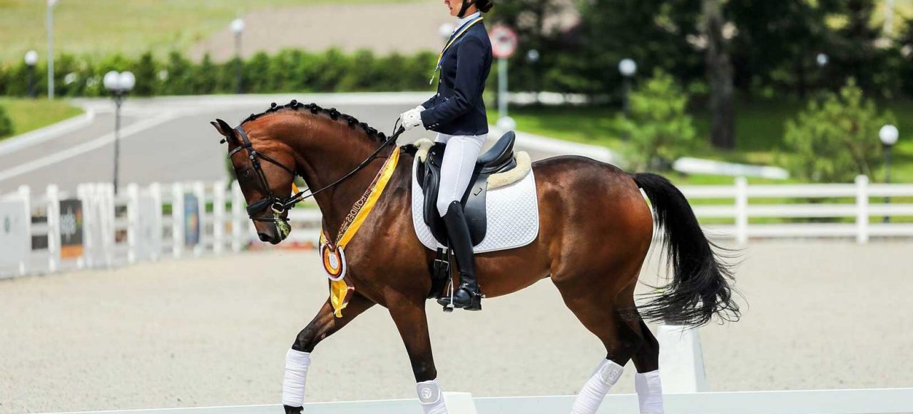 Жашківський Кінний Завод Екскурсія