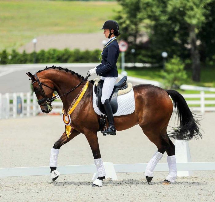 Жашківський Кінний Завод Екскурсія