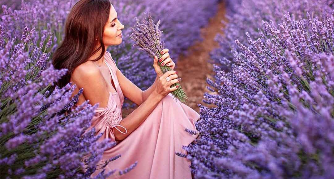 Лавандове поле на Закарпатті