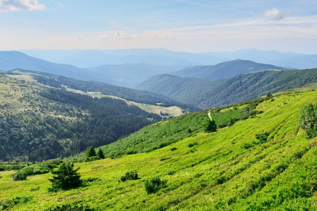 Тури в Карпати