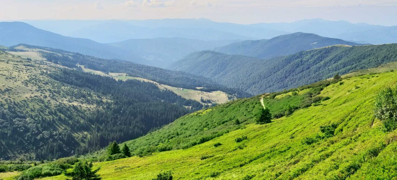 Тури в Карпати