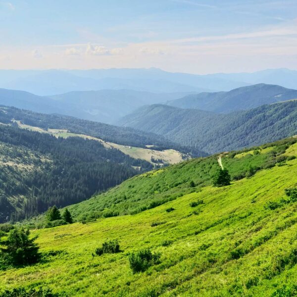 Тури в Карпати