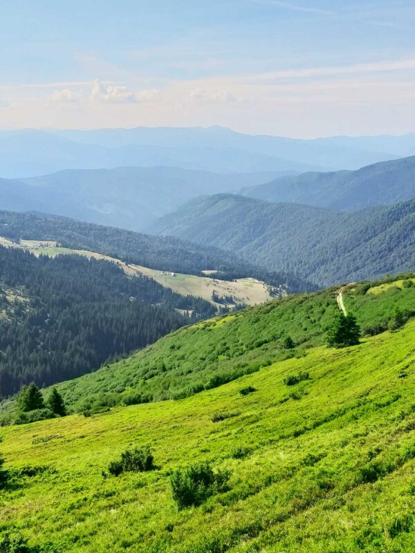 Тури в Карпати