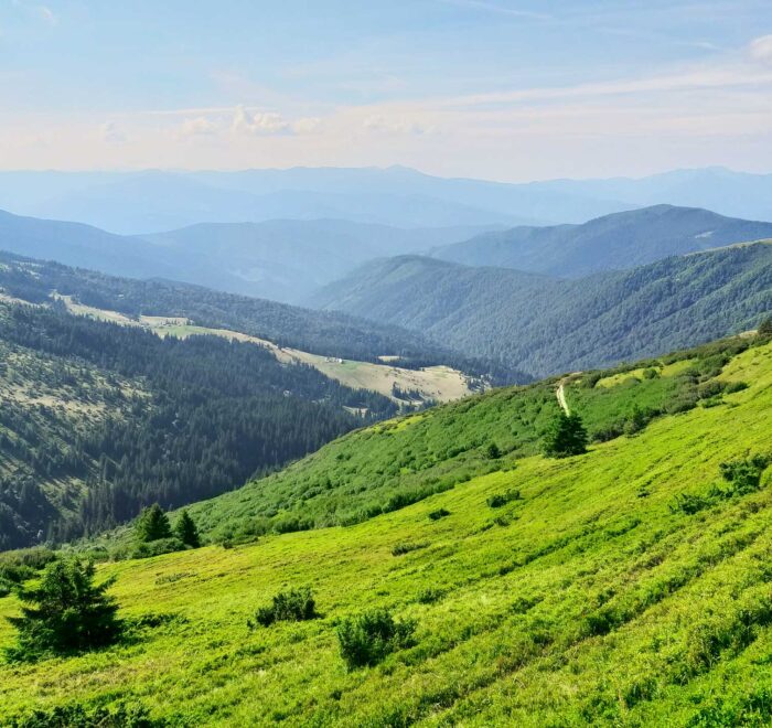 Тури в Карпати