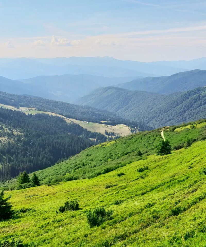Тури в Карпати