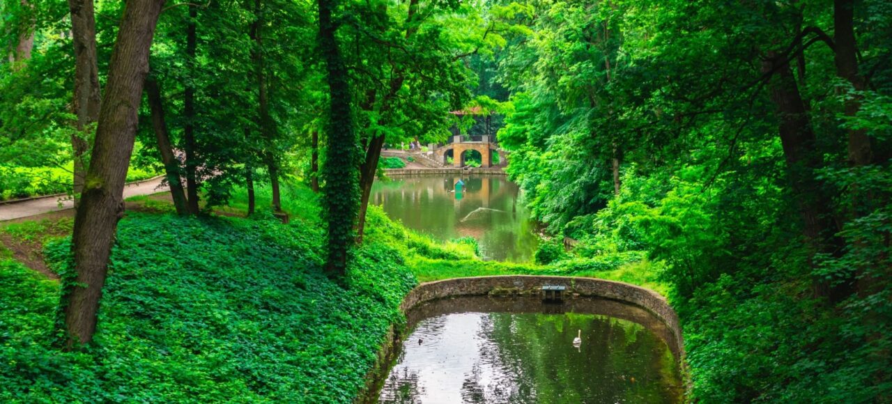 Парк Олександрія Буки