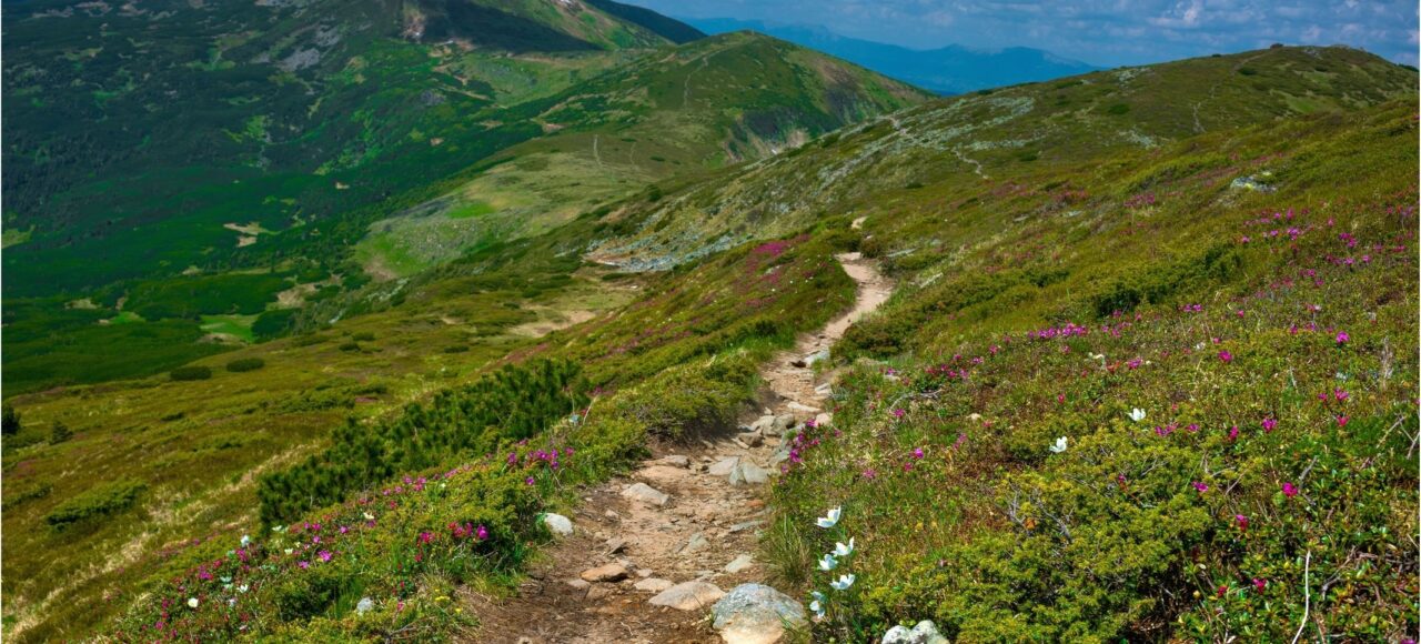 Похід на Говерлу зі Львова