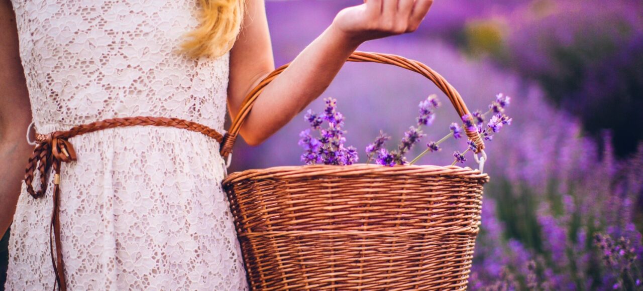 Тур лавандове поле зі Львова