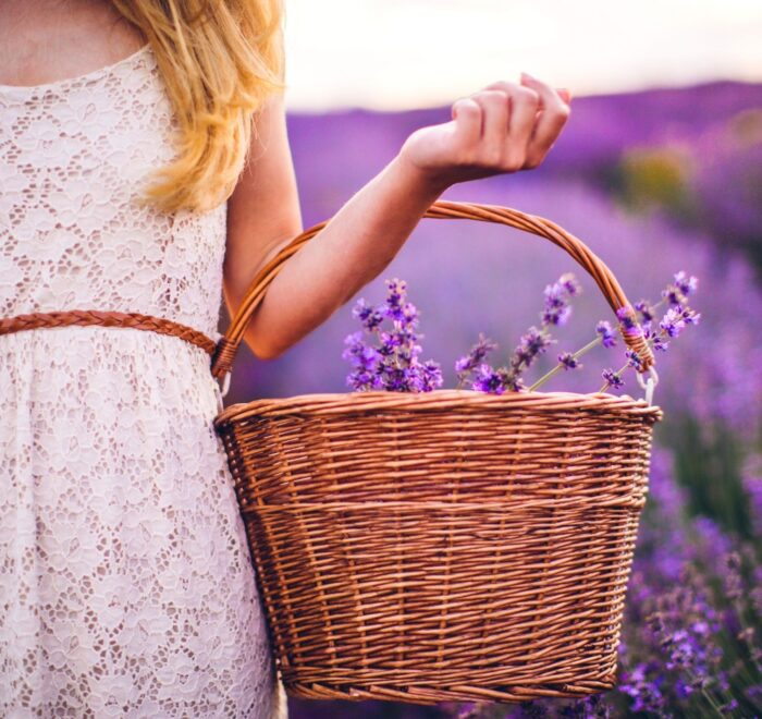 Тур лавандове поле зі Львова