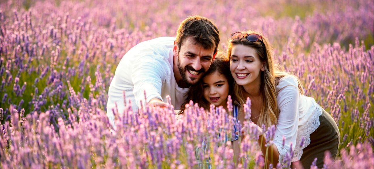 Тур на лавандове поле зі Львова