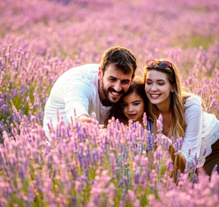 Тур на лавандове поле зі Львова