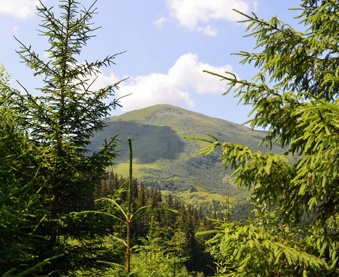 Похід на Петрос