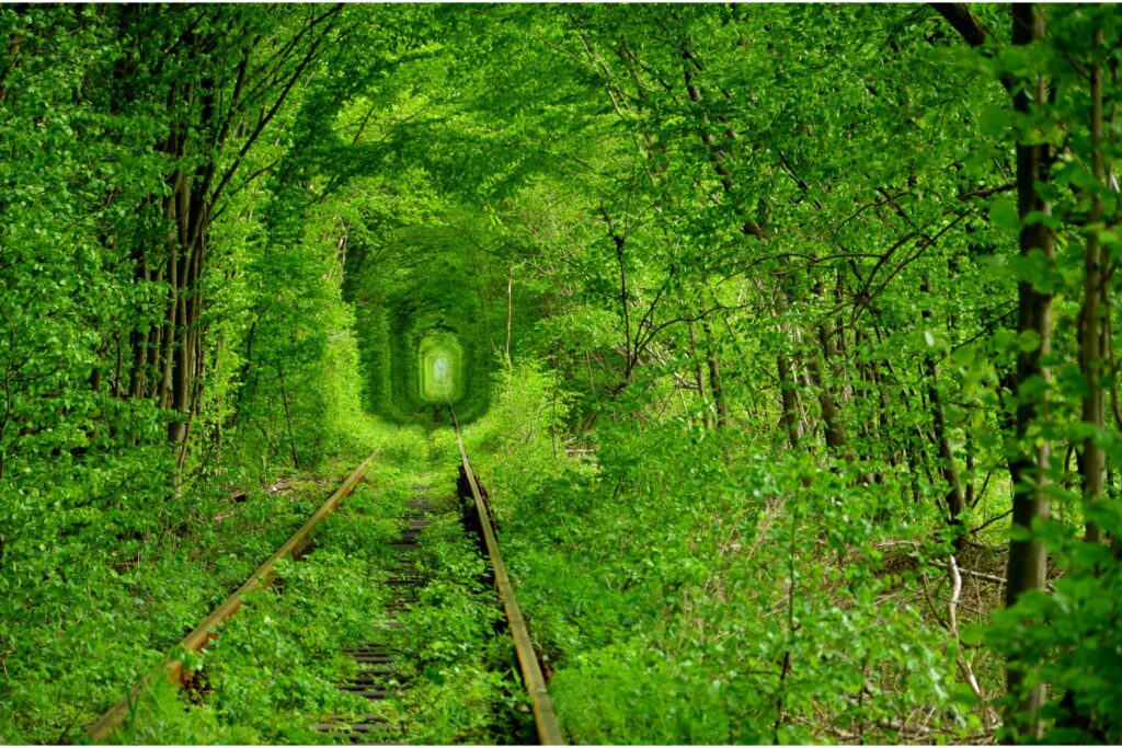 Екскурсія в Тунель кохання