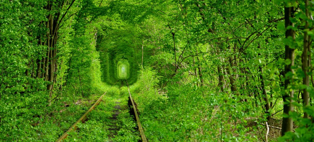 Екскурсія в Тунель кохання