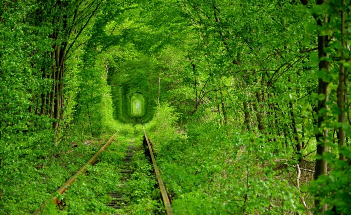 Екскурсія в Тунель кохання