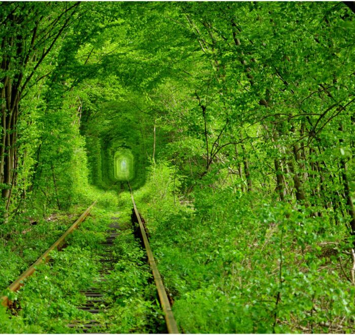 Екскурсія в Тунель кохання