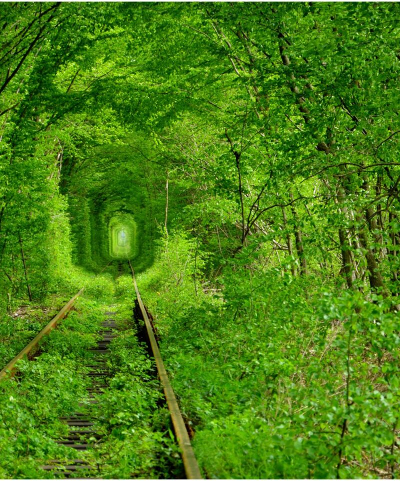 Екскурсія в Тунель кохання