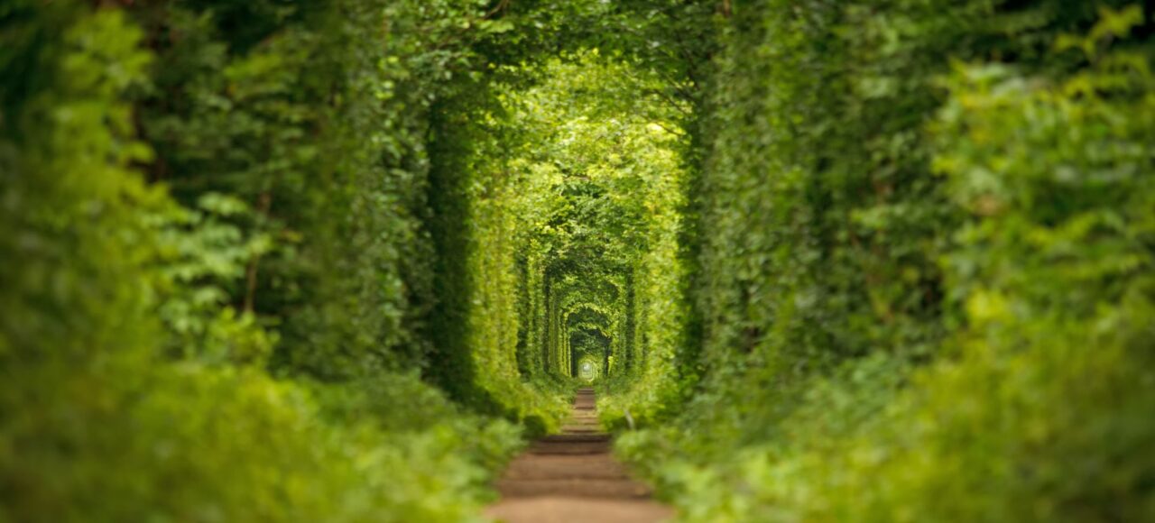 Екскурсія Тунель кохання з Києва