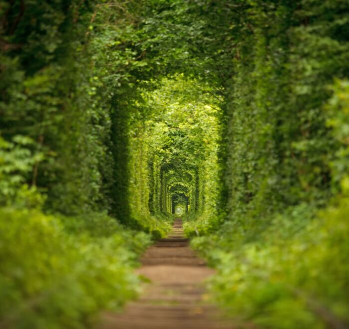 Екскурсія Тунель кохання з Києва