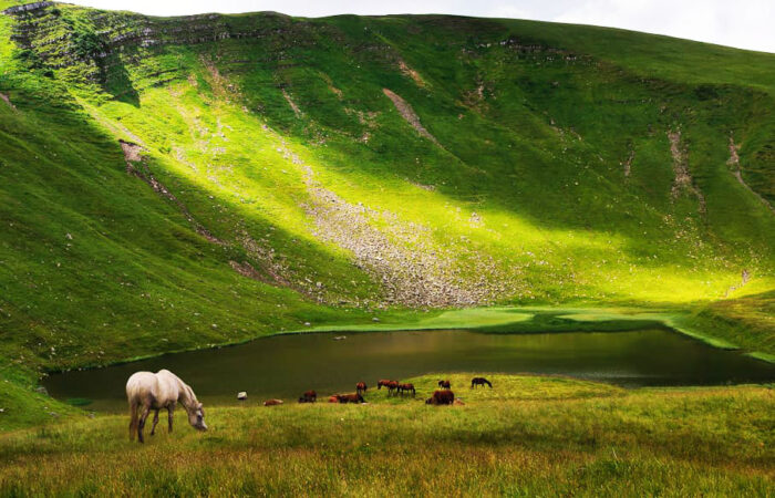 Драгобрат, озеро Герешаска