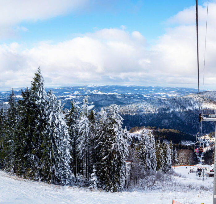 Карпати на 1 день спа