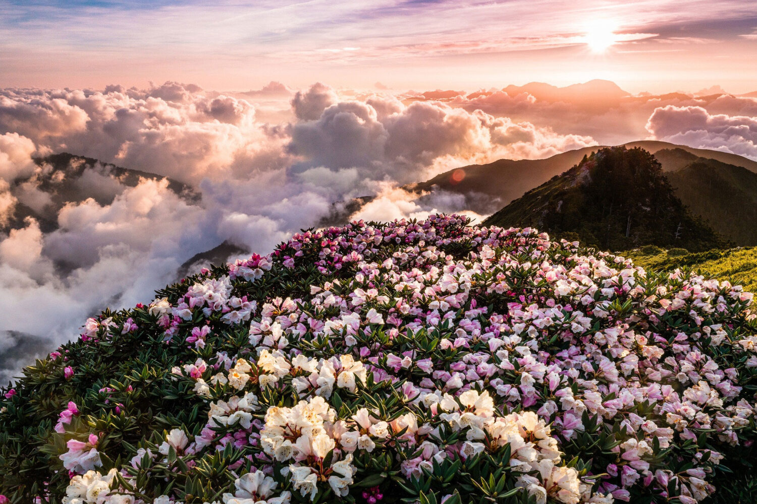 Тур по Карпатах