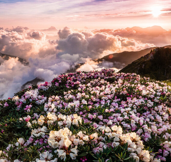 Тур по Карпатах