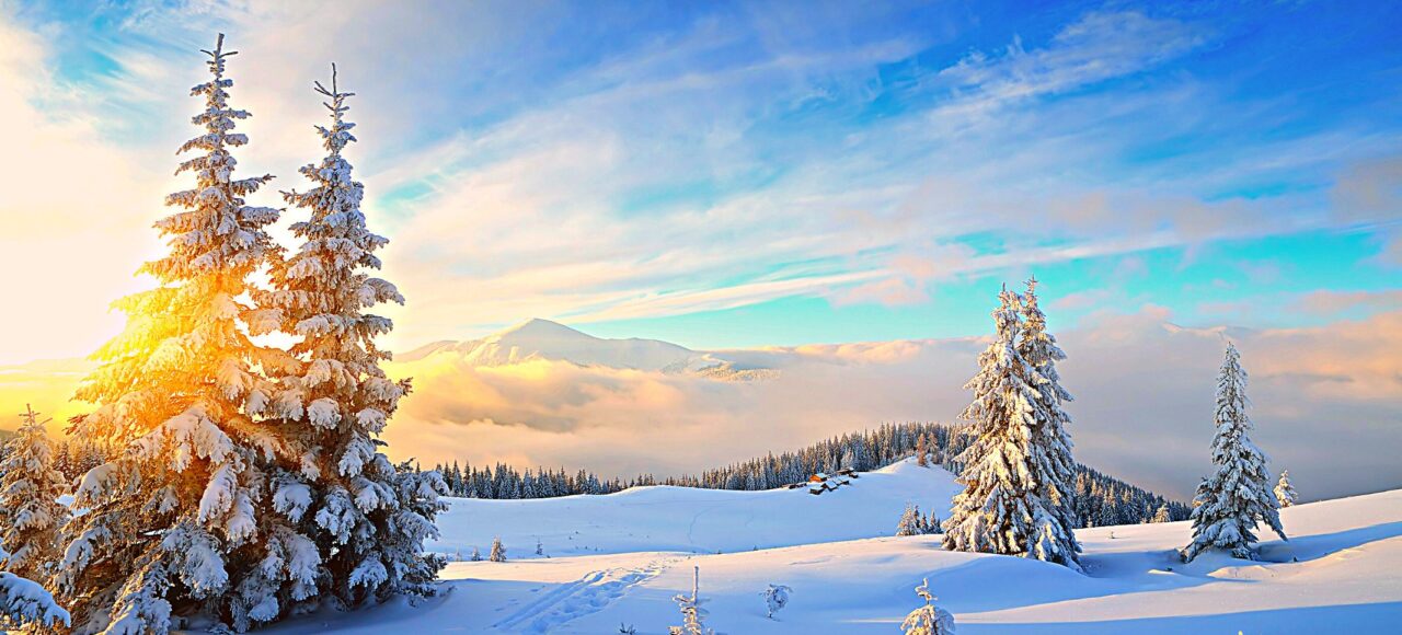 Зимові оксамитові Карпати - тур в Закарпаття з Києва