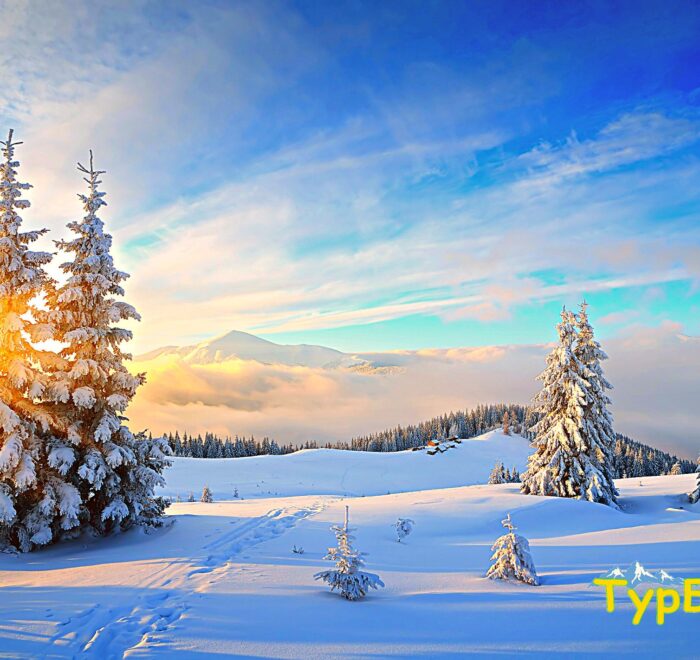 Зимові оксамитові Карпати - тур в Закарпаття з Києва