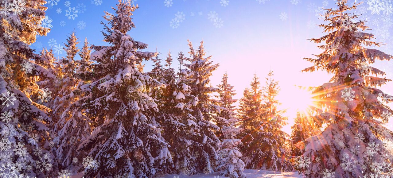 Новорічні світанки в Карпатах