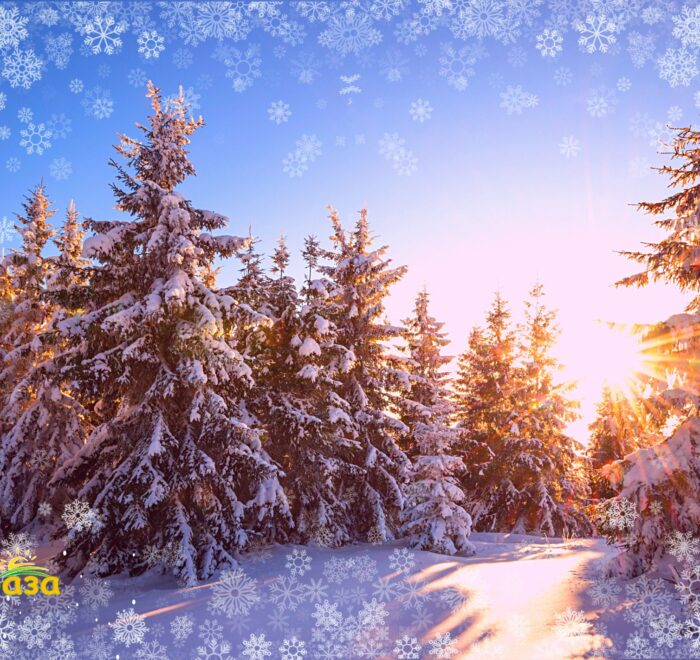 Новорічні світанки в Карпатах