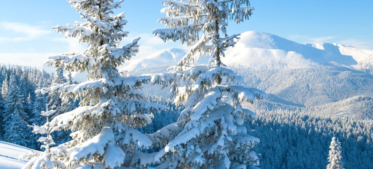 Екскурсійний тур в Карпати з Білої Церкви