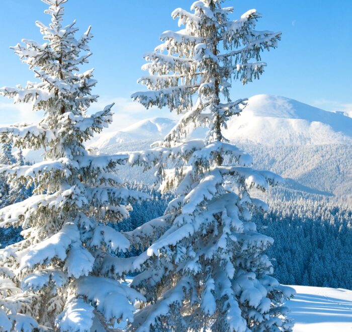 Екскурсійний тур в Карпати з Білої Церкви