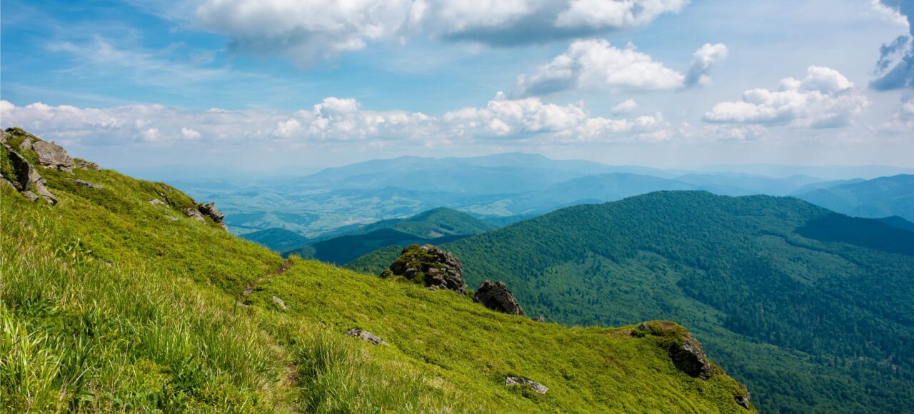 Похід на Пікуй