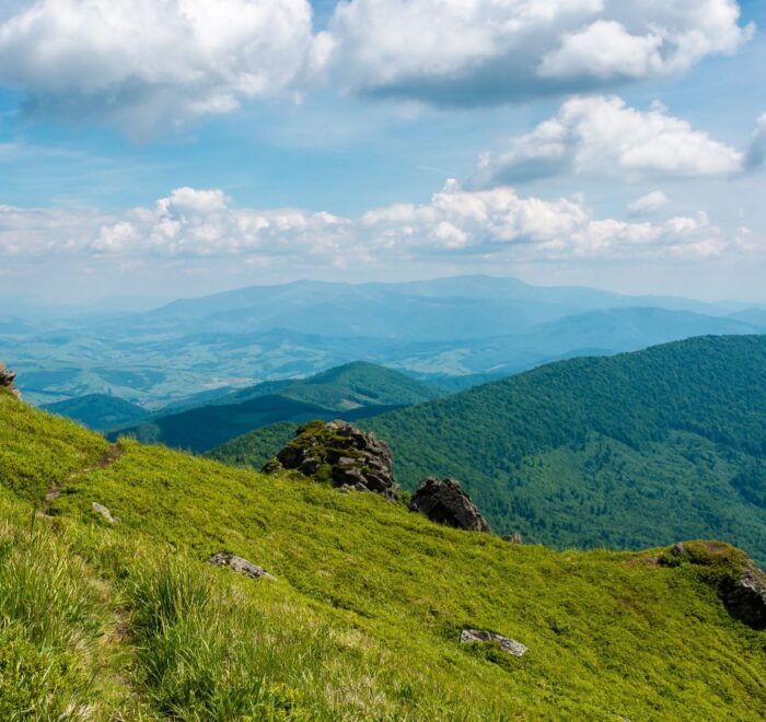 Похід на Пікуй