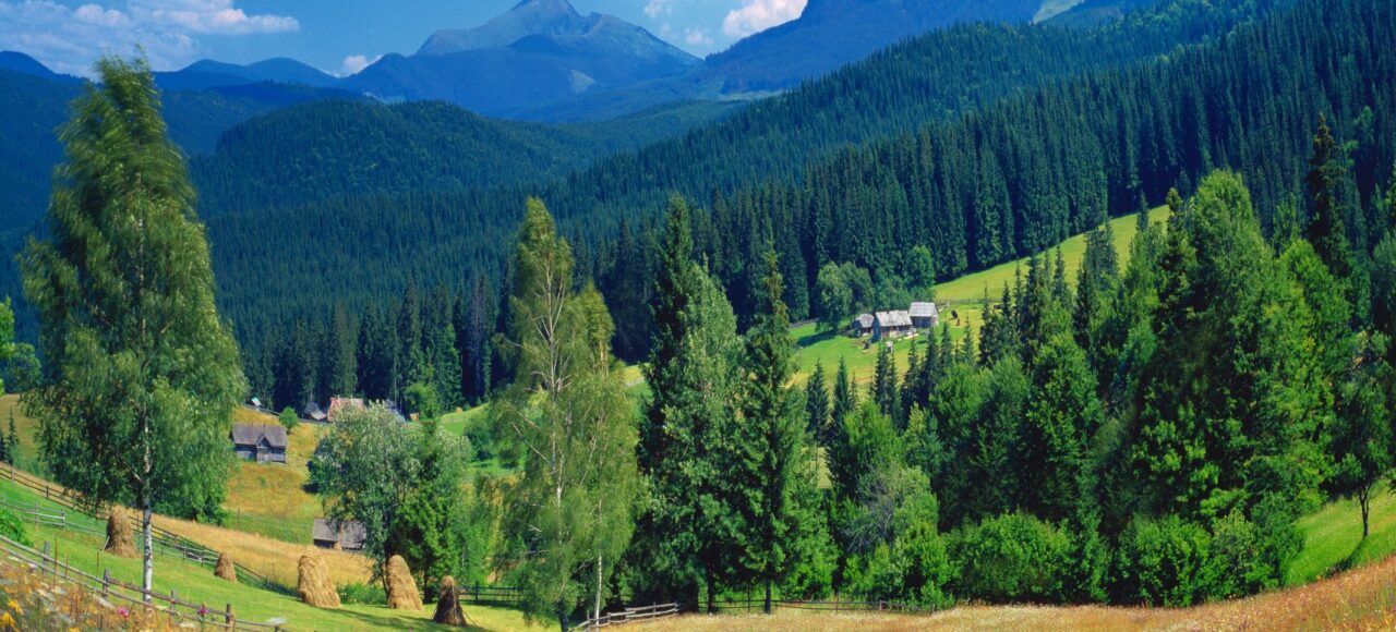 Відпочиинок в Карпатах Ясіня