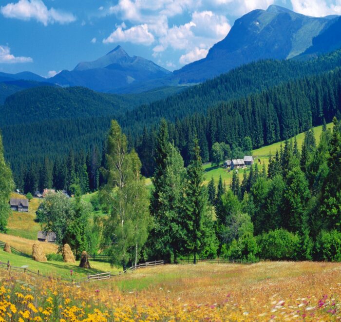 Відпочиинок в Карпатах Ясіня