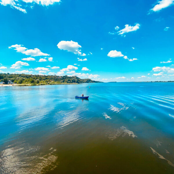 Ржищів