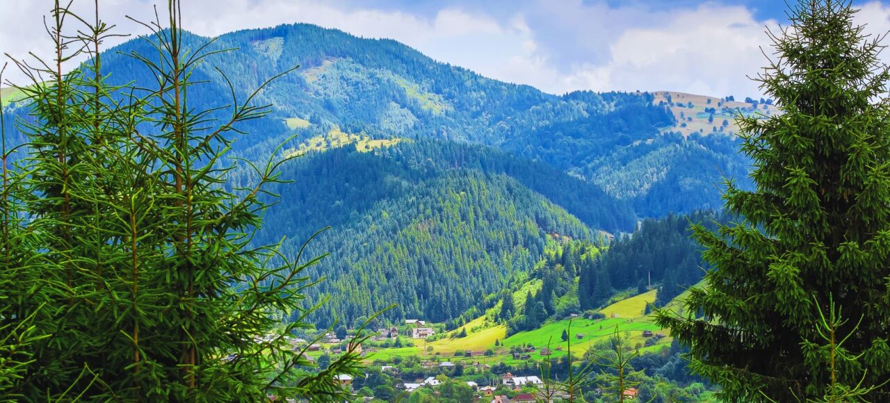 Тижневий тур в Карпати